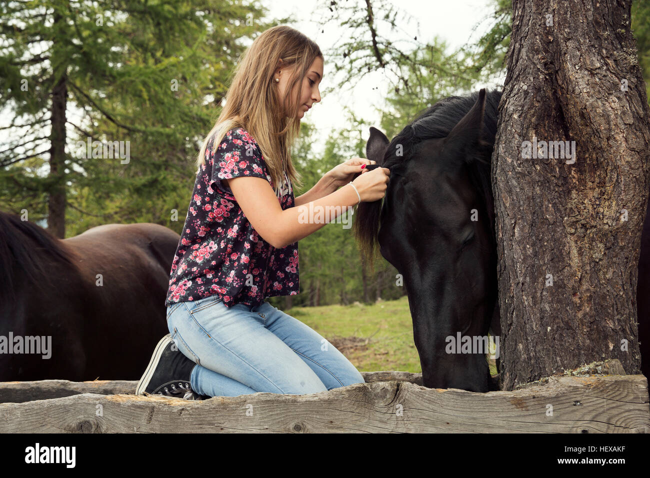 Girl kneeling to plait horse mane in forest, Sattelbergalm, Tyrol, Austria Stock Photo