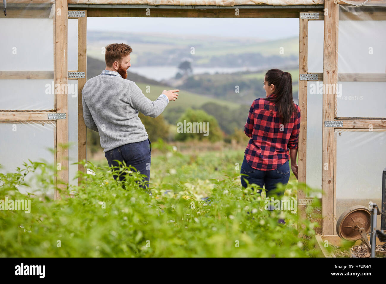 Rear view of couple in polytunnel doorway chatting Stock Photo