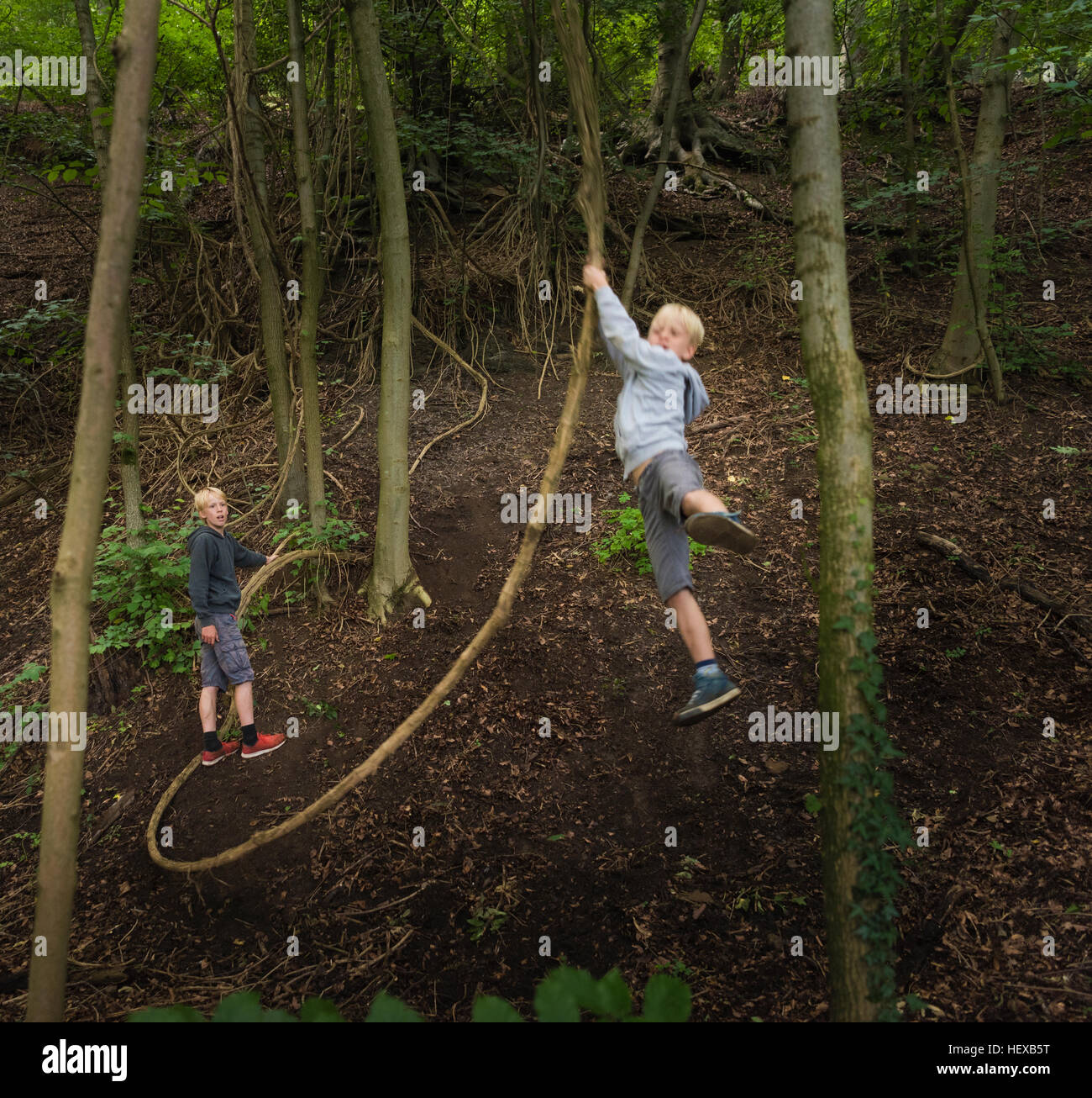 Boy in forest swinging on tree Stock Photo