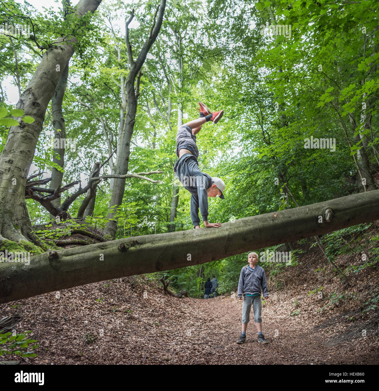 Boy in forest doing handstand on fallen tree Stock Photo