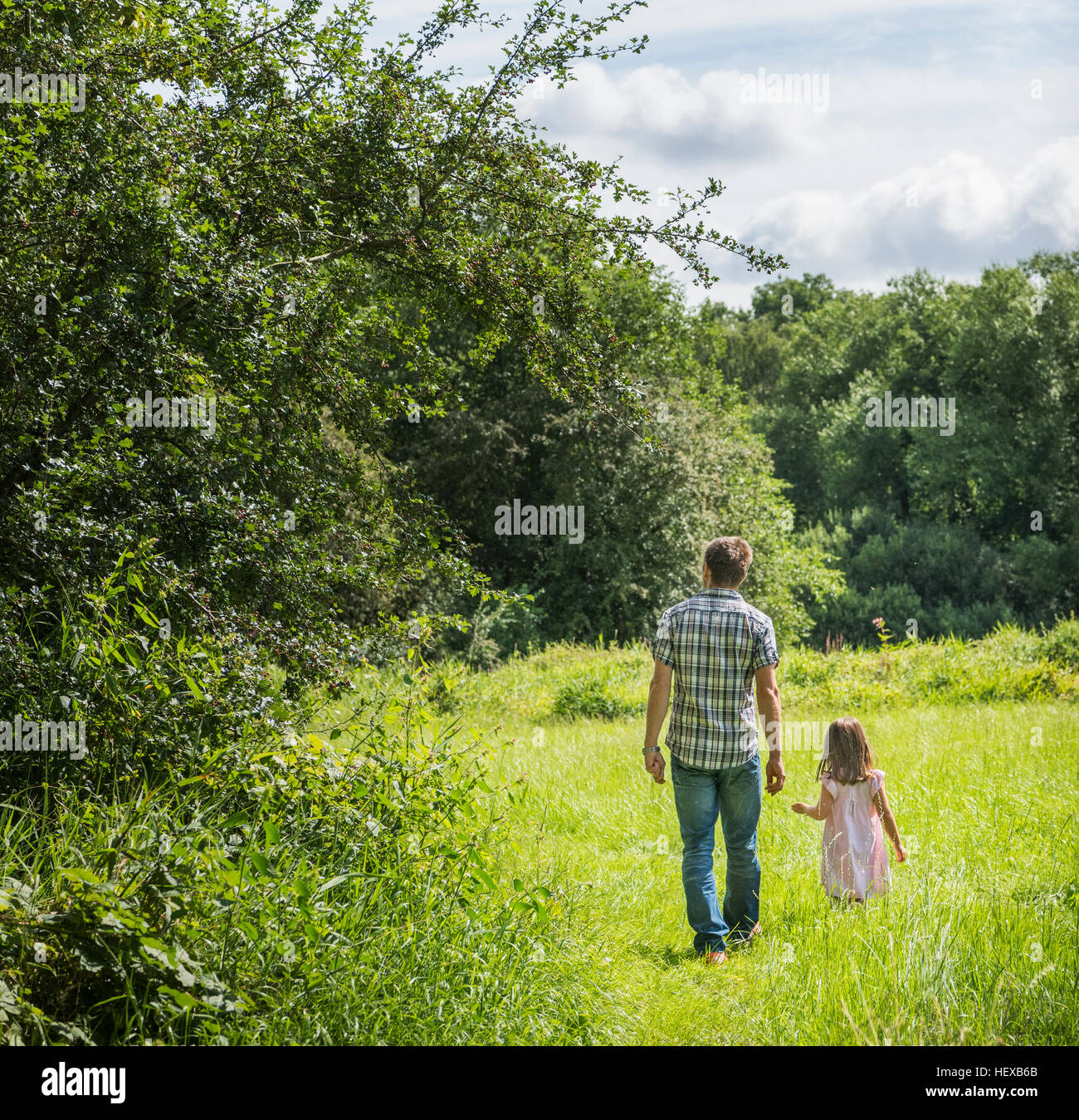 Rear view of father and daughter walking through meadow, Porta Westfalica, North Rhine Westphalia, Germany Stock Photo