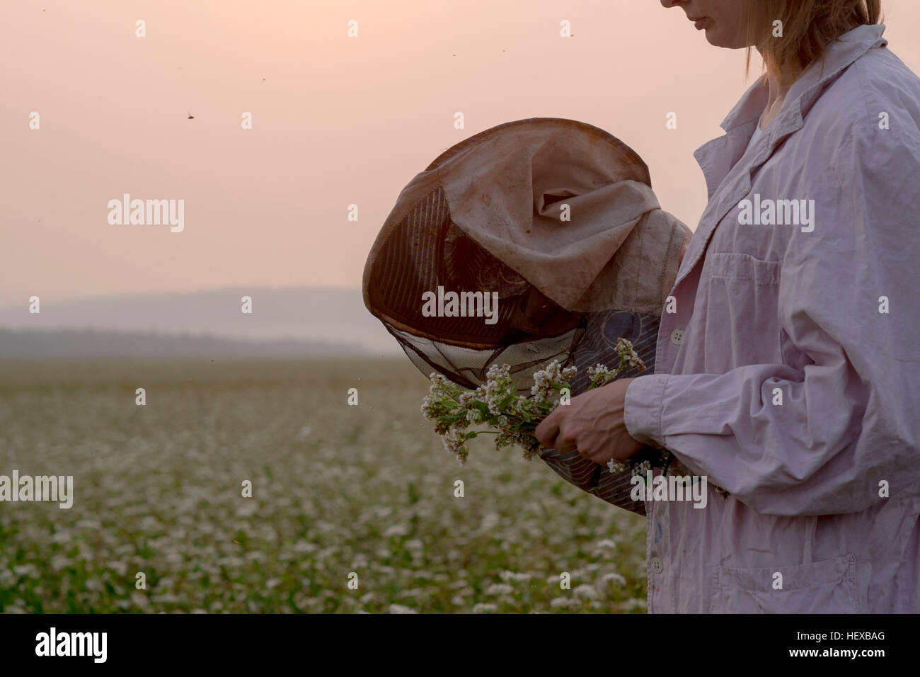Cropped shot of female beekeeper inspecting plant in flower field, Ural, Russia Stock Photo