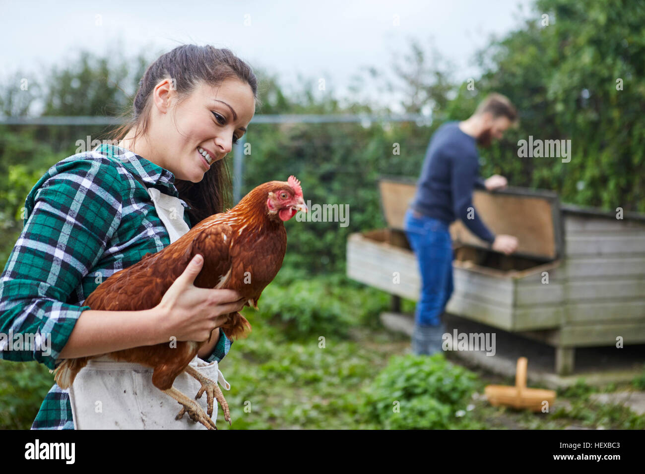 Young couple in chicken coop holding chicken Stock Photo