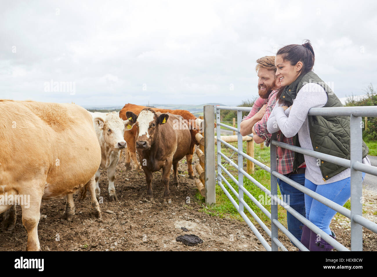 Couple leaning against gate on cow farm looking away Stock Photo
