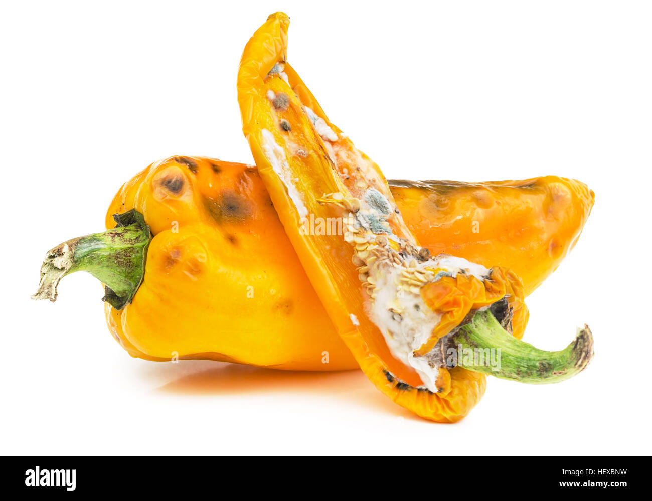 Rotten yellow bell peppers isolated on white background. Moldy vegetable. Stock Photo