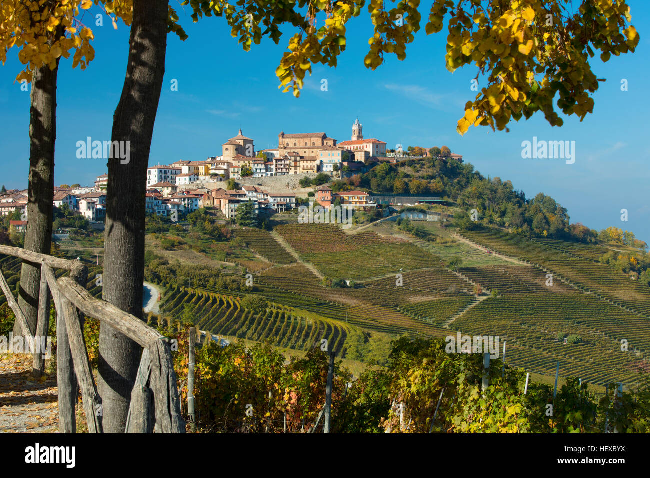 View over Nebbiolo vineyards to medieval town of La Morra, Piemonte, Italy Stock Photo
