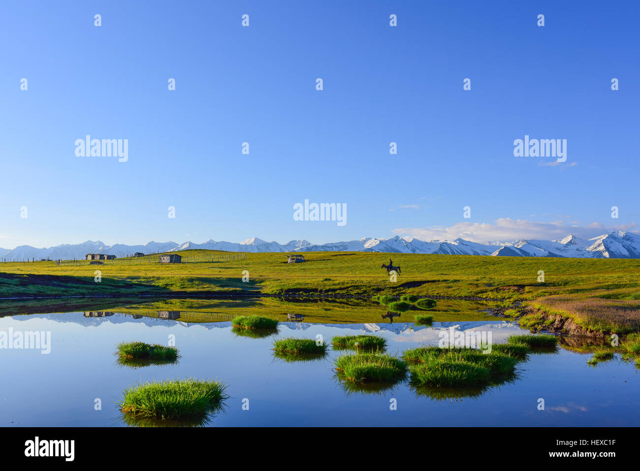 Plateau Grassland with Sunny Blue sky, wood huts, horse rider, aquatic plants and their reflections in water. Stock Photo