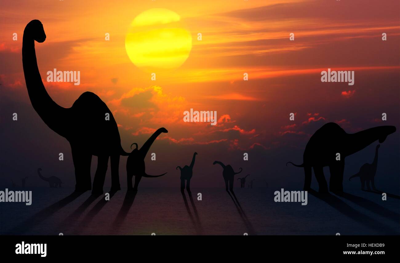 Artwork of a herd of sauropod dinosaurs seen against a sunset (or sunrise). Sauropods, which were universally herbivorous, were common throughout the entire age of the dinosaurs, from the Triassic through to their extinction at the end of the Cretaceous. Many genera are known from all over the world. The largest among them were the biggest creatures ever to walk on land. Examples include Diplodocus and Brachiosaurus. Stock Photo