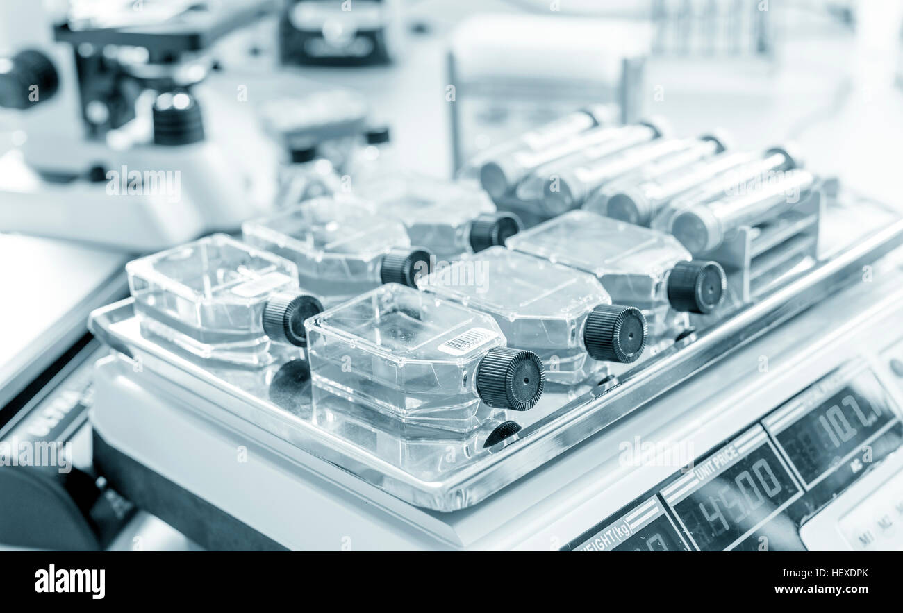 Glass bottles on a shaking machine in the laboratory Stock Photo - Alamy