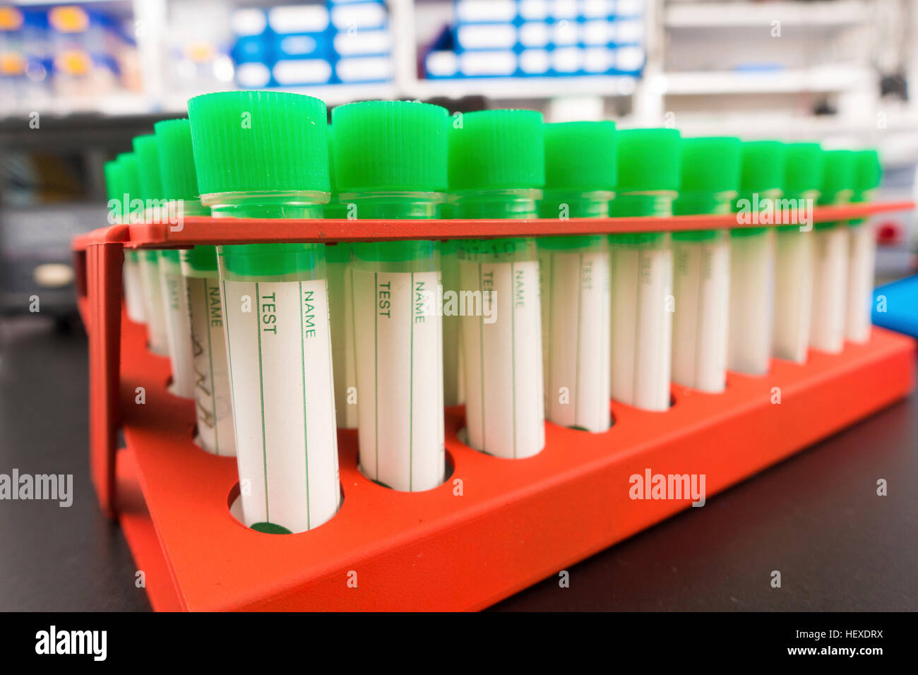 Test tubes in a rack Stock Photo Alamy