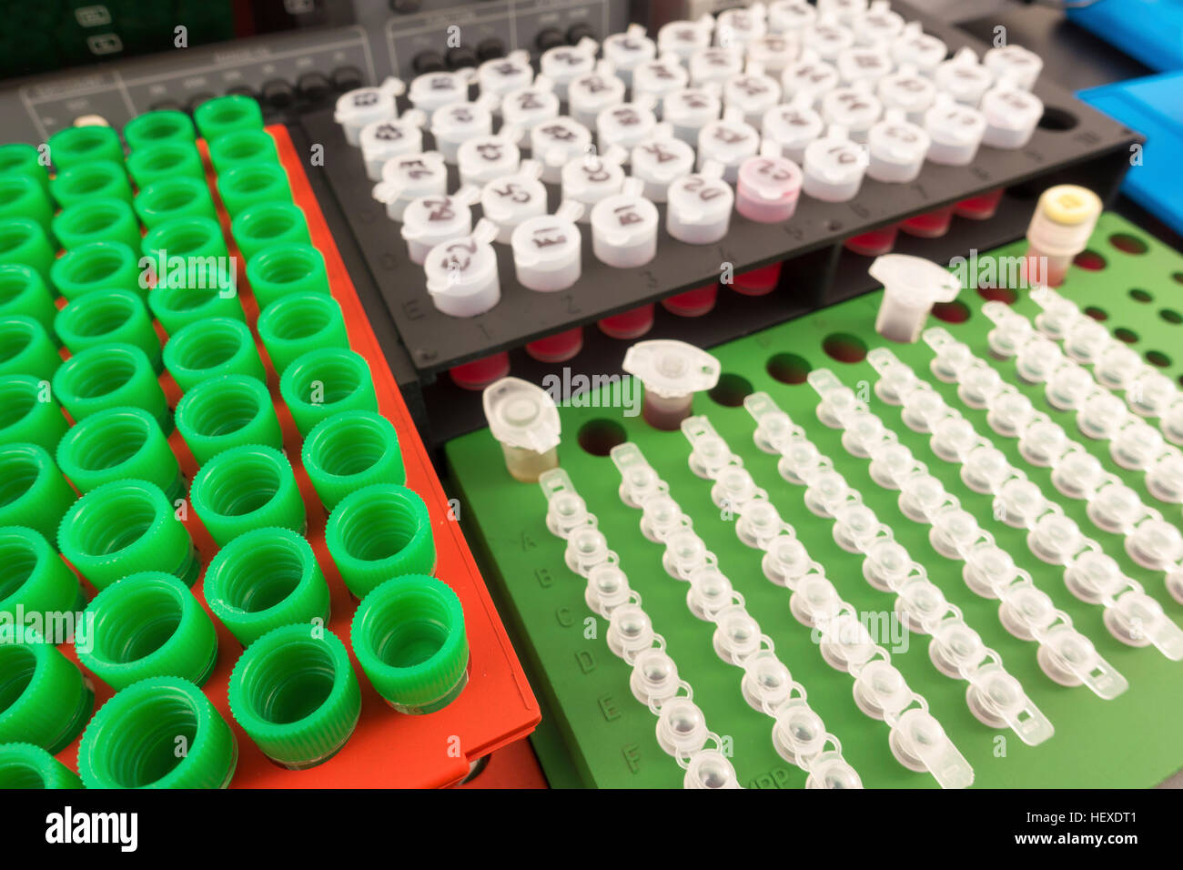 Test tubes in a rack Stock Photo Alamy