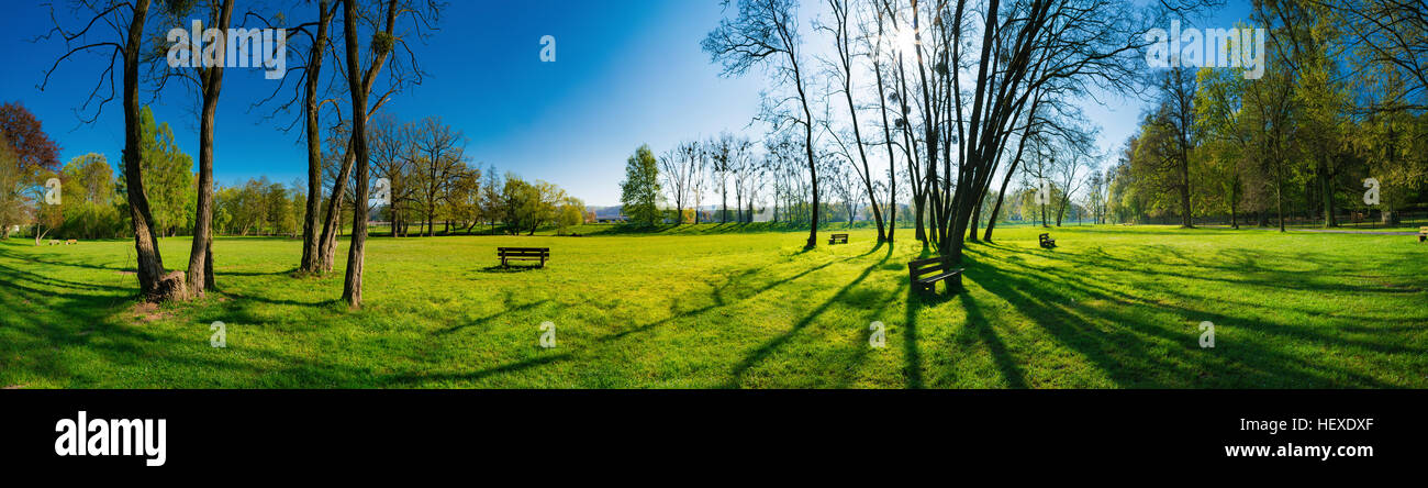Green grass in park with trees Stock Photo - Alamy