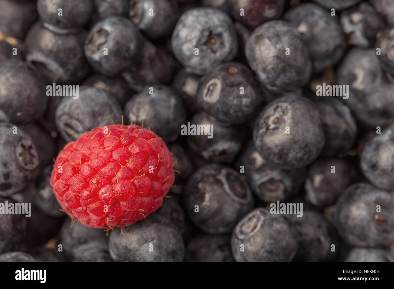 Raspberry and blue berries Stock Photo - Alamy