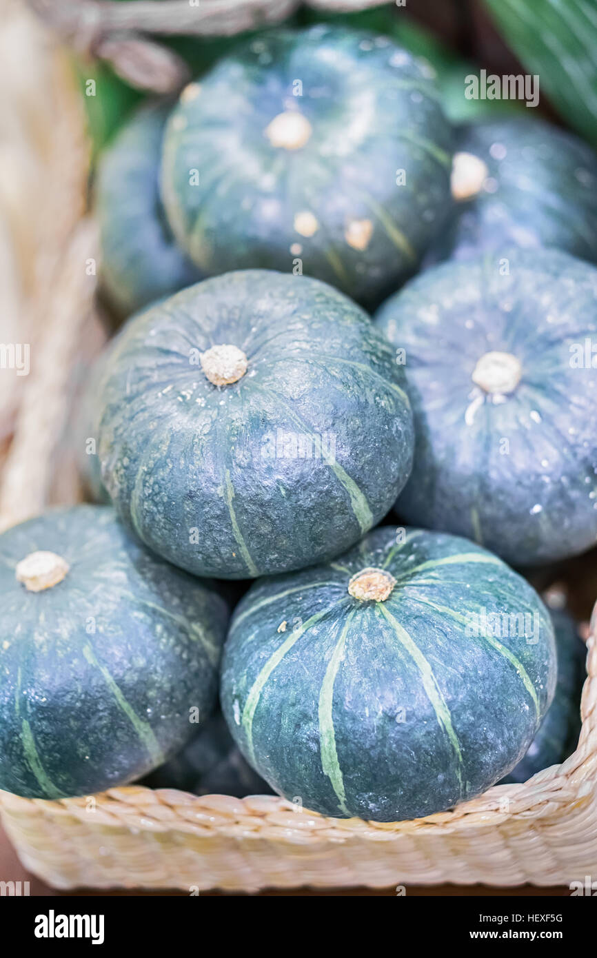 piles of green pumpkin in farm during harvest season Stock Photo - Alamy