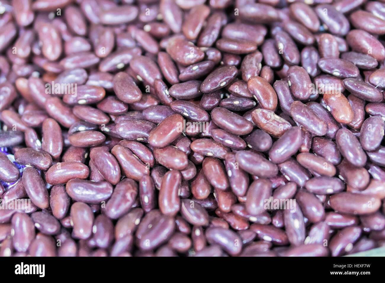 Dark red kidney beans Stock Photo Alamy
