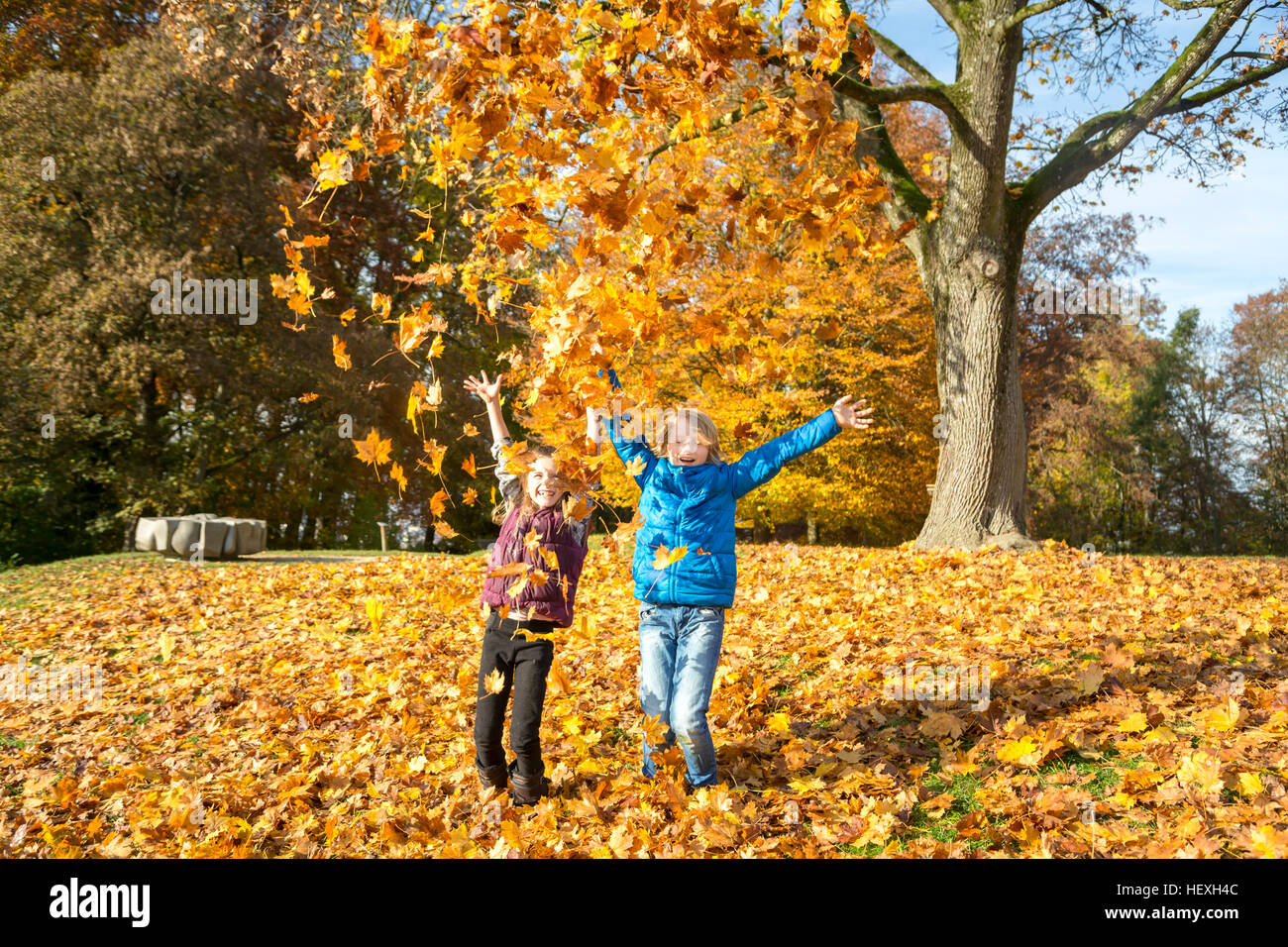 Brother and sister throwing autumn leaves in the air Stock Photo - Alamy