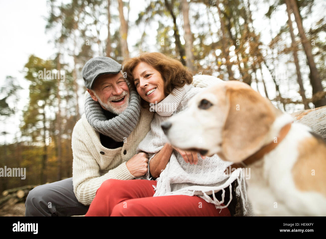 Happy senior couple with dog in nature Stock Photo - Alamy