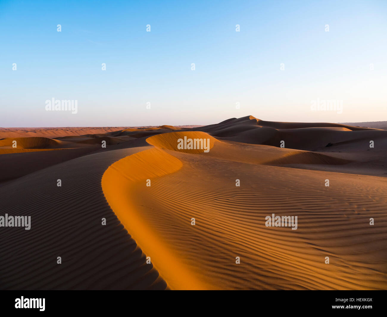 Oman, Al Raka, dunes in Rimal Al Wahiba desert at sunset Stock Photo ...