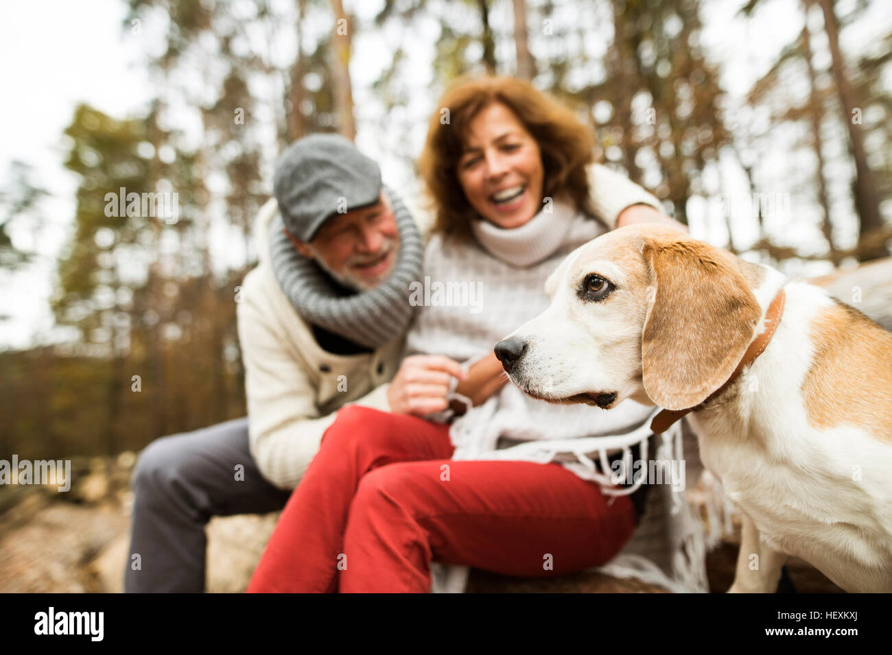 Happy couple woman dog hi-res stock photography and images - Alamy