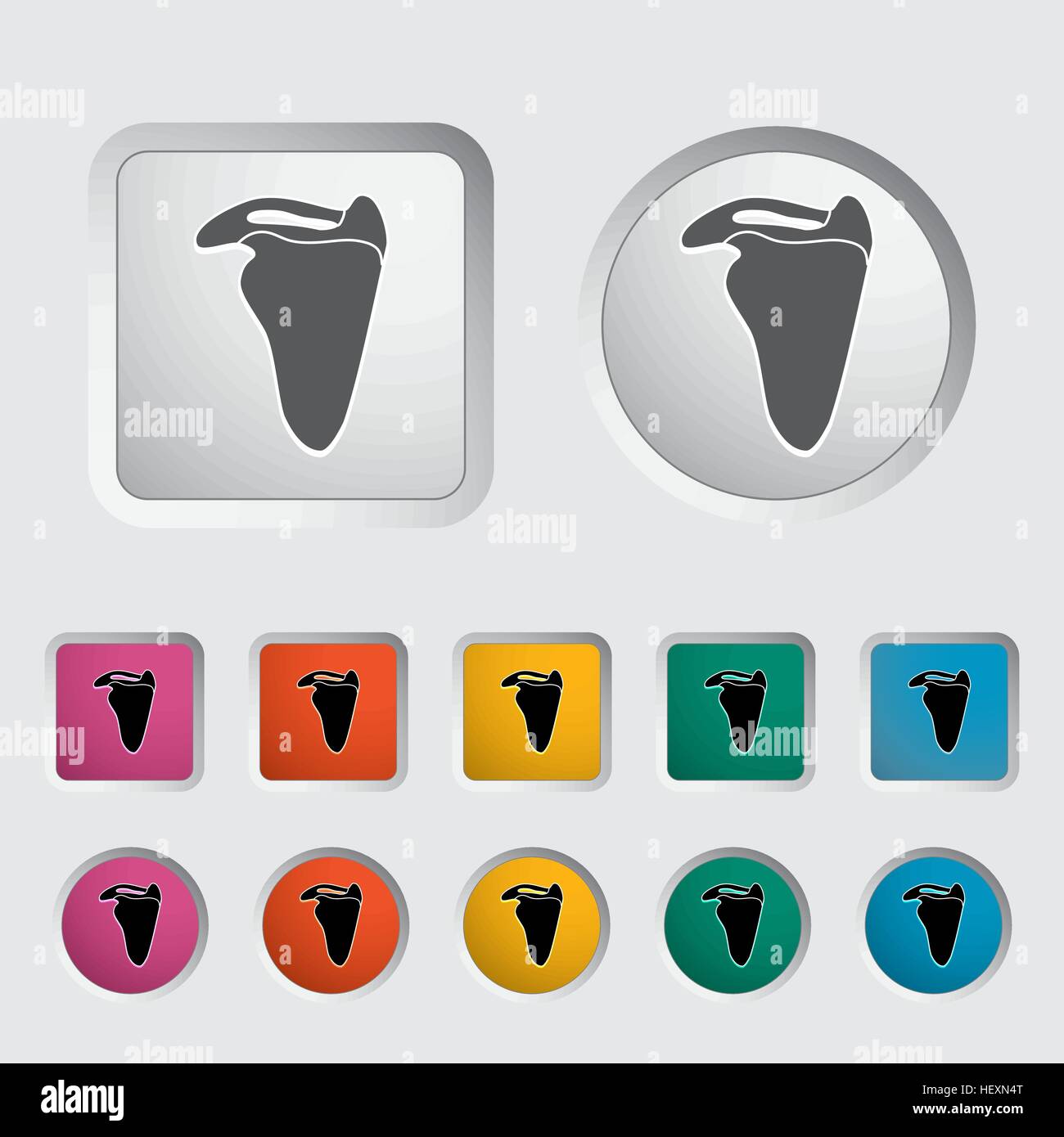 Scapula icon. Vector illustration EPS Stock Vector Image & Art - Alamy