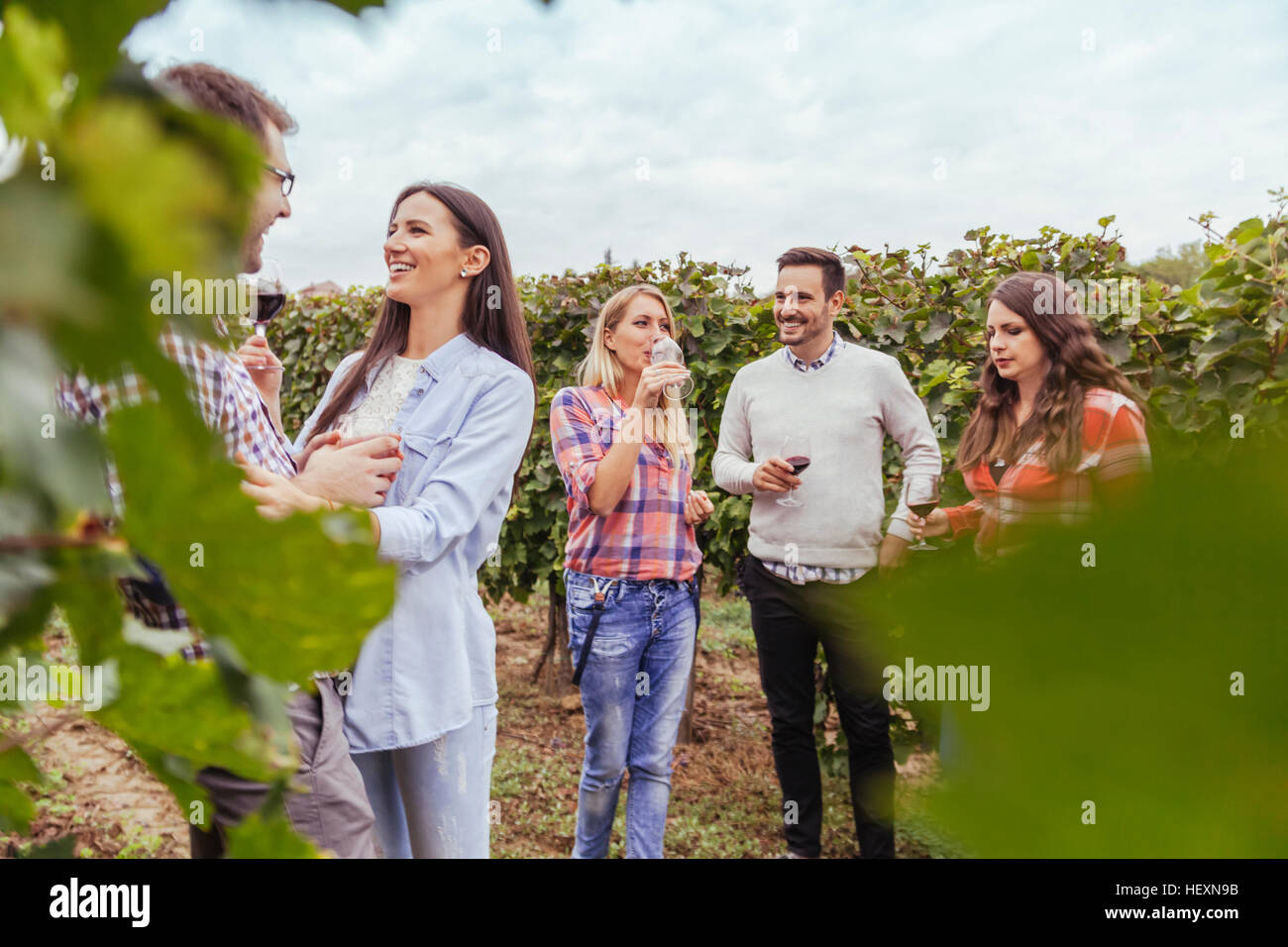 Friends socializing in a vineyard Stock Photo Alamy