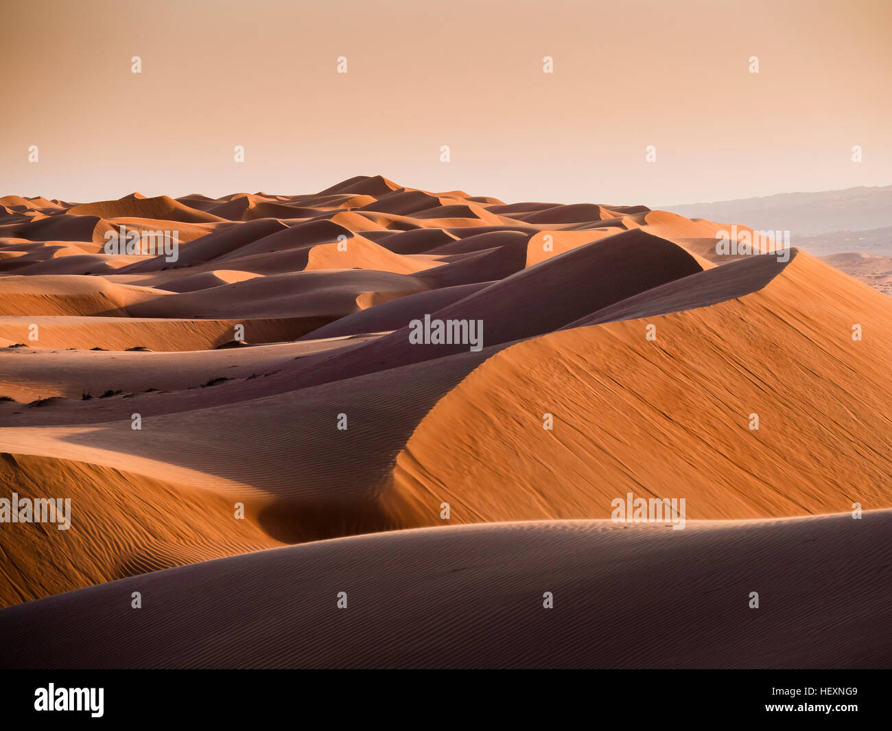 Desert rimal al hi-res stock photography and images - Alamy