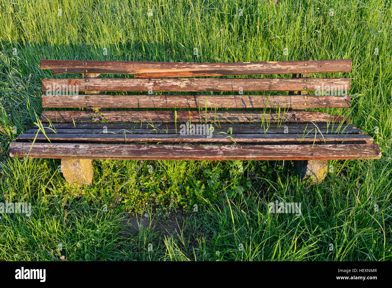 Overgrown bench in meadow Stock Photo