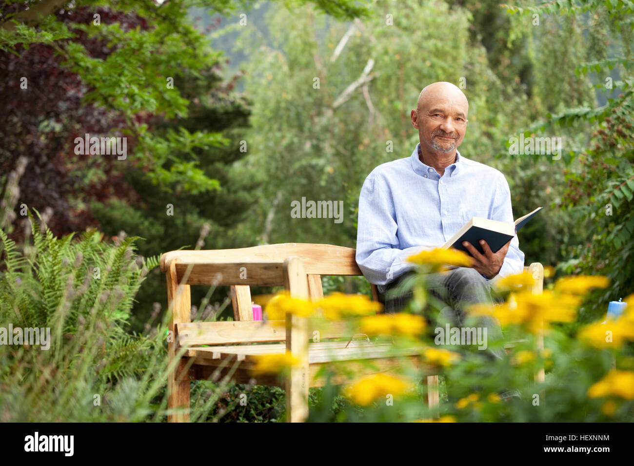 Senior man sitting on garden bench reading book Stock Photo Alamy
