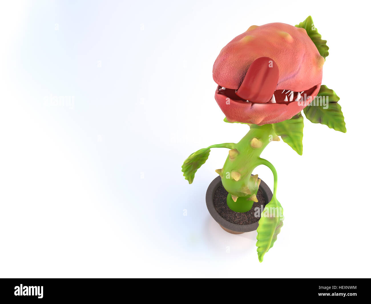 Hungry carnivorous plant Stock Photo Alamy