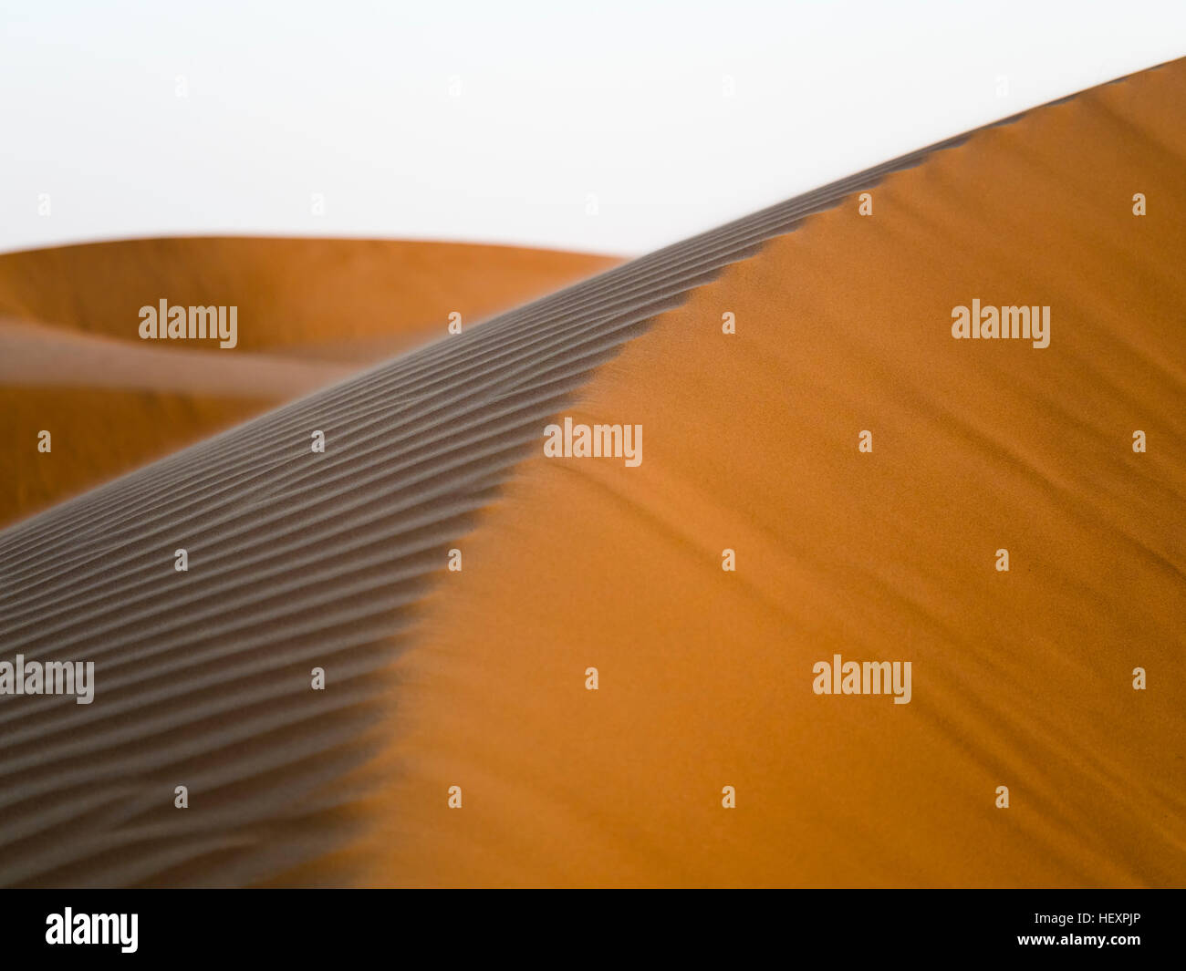 Oman, Al Raka, dunes in Rimal Al Wahiba desert Stock Photo - Alamy