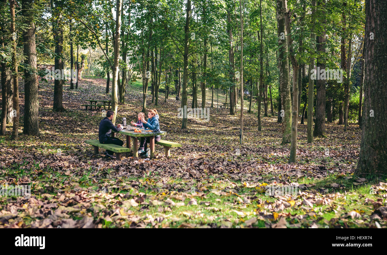 Family having picnic in the woods Stock Photo Alamy