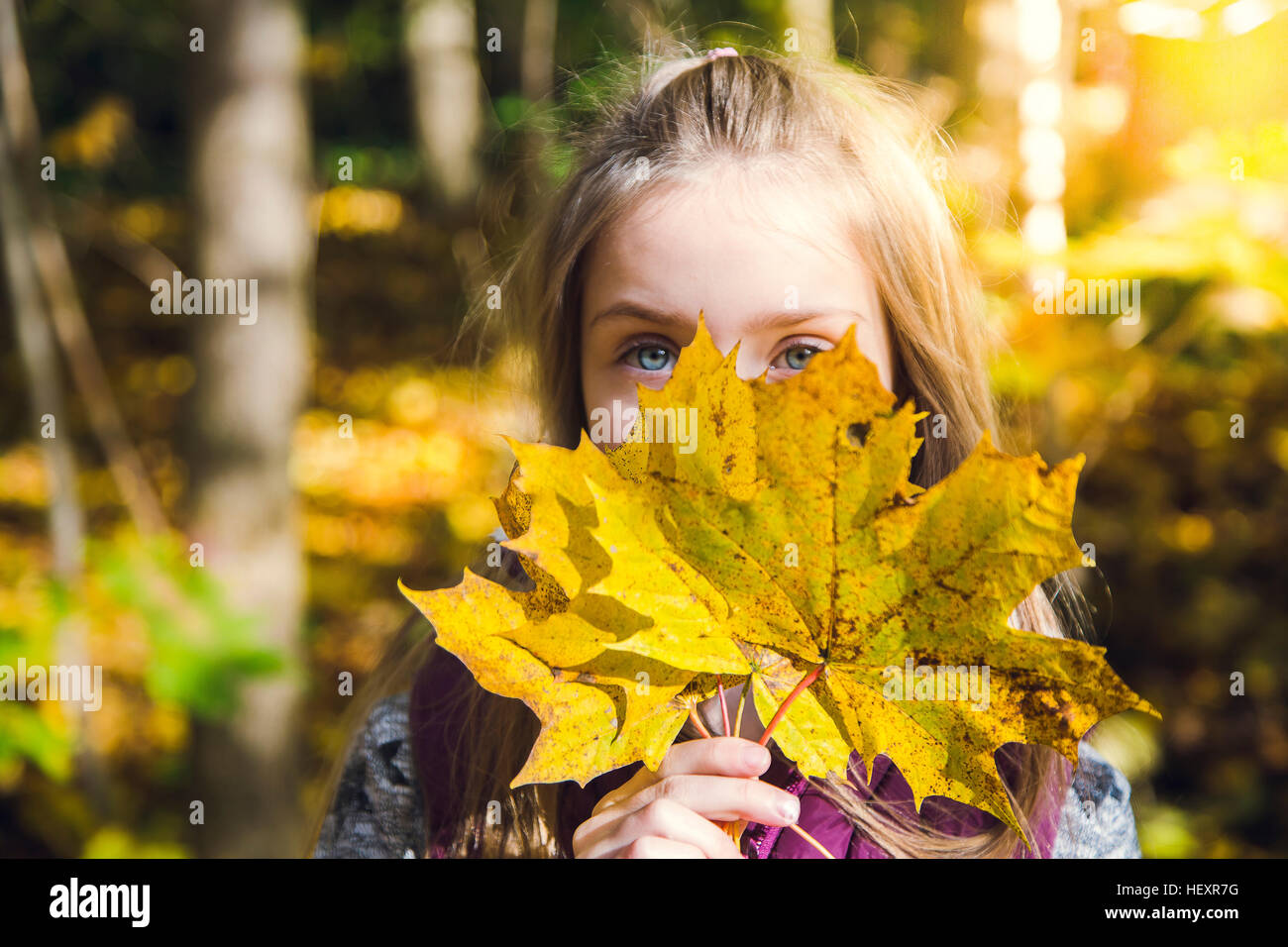 Little girl hiding her face behind autumn leaves Stock Photo - Alamy