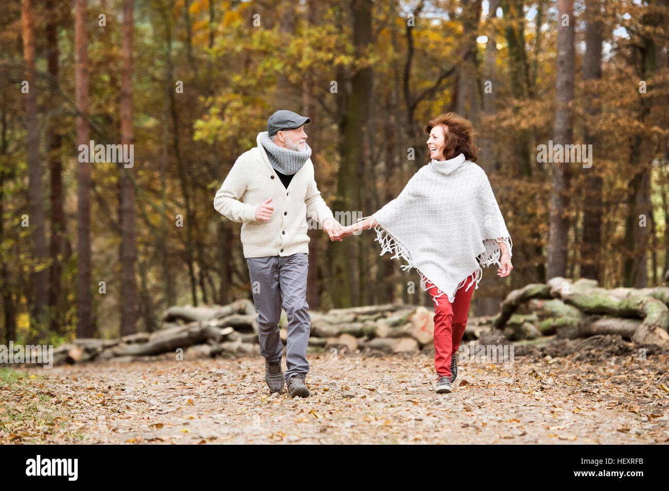 Senior couple walking hand in hand in the woods Stock Photo - Alamy
