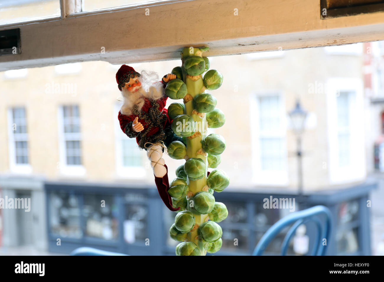 Father Christmas sprouts climbing tree xmas dinner Stock Photo Alamy