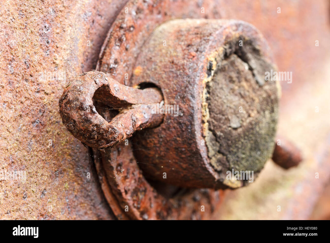 Close up of rusted cotter pin on abandoned farm equipment. Stock Photo