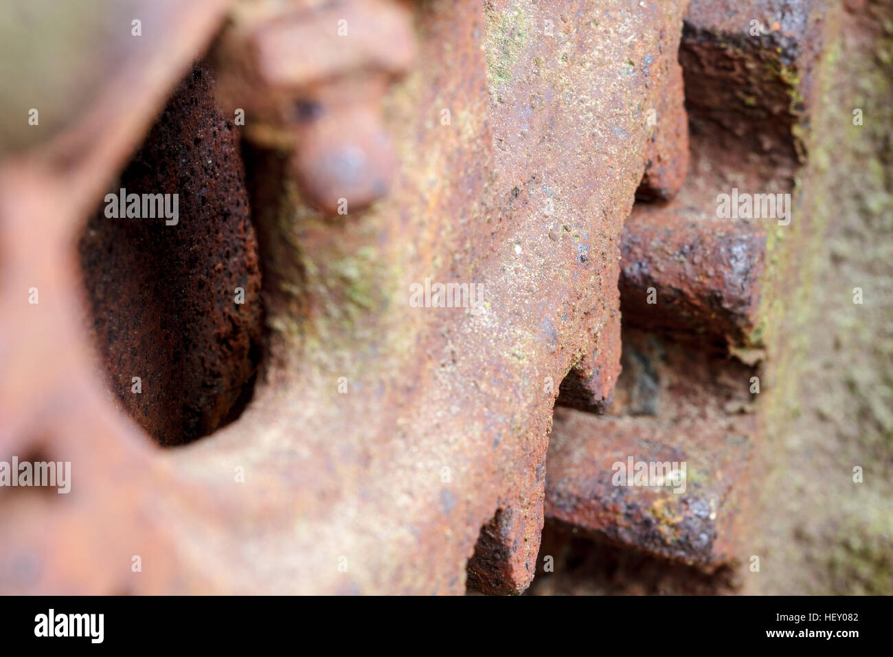 Close up of rusty gear on abandoned farm equipment. Stock Photo