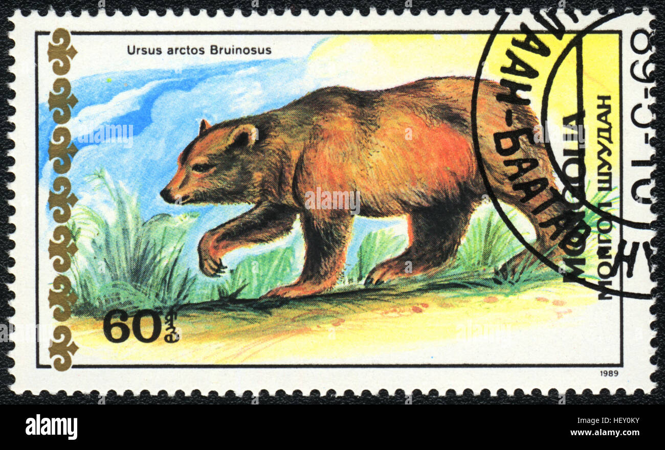 A postage stamp printed in Mongolia shows Tibetan blue bear ,  'Bears' series, 1989 Stock Photo