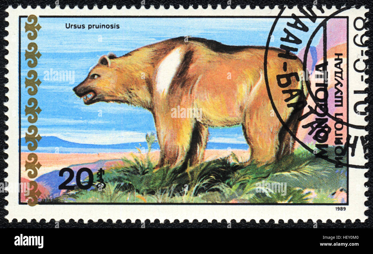 A postage stamp printed in Mongolia shows Tibetan bear,  'Bears' series,1989 Stock Photo