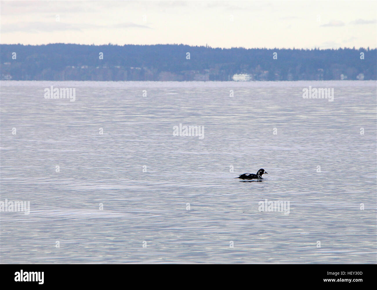 Solitary outdoor hires stock photography and images Alamy