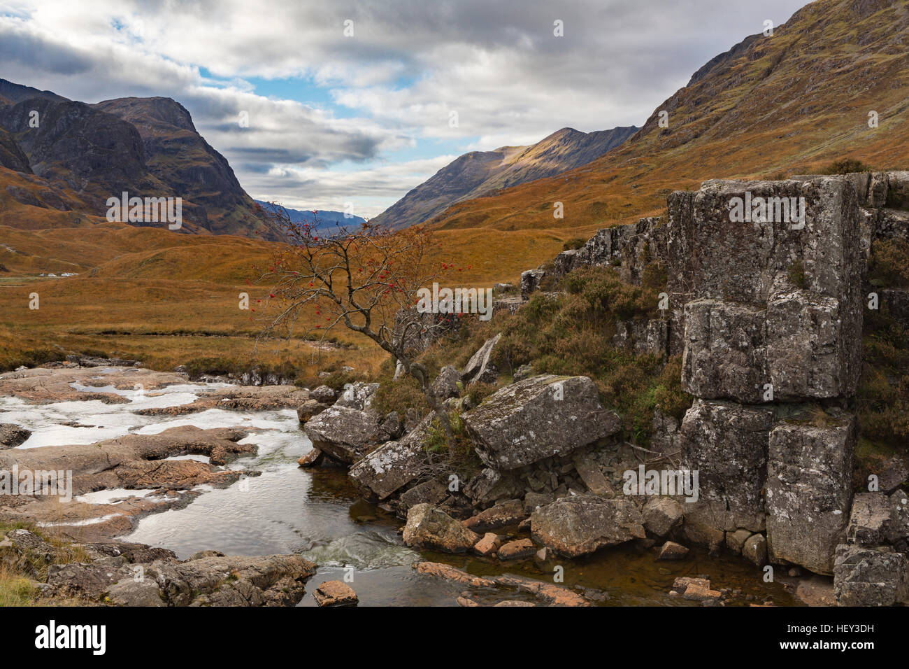 A Rowan grows from rocks above a river which flows towards the mountains in Glencoe, Scotland Stock Photo