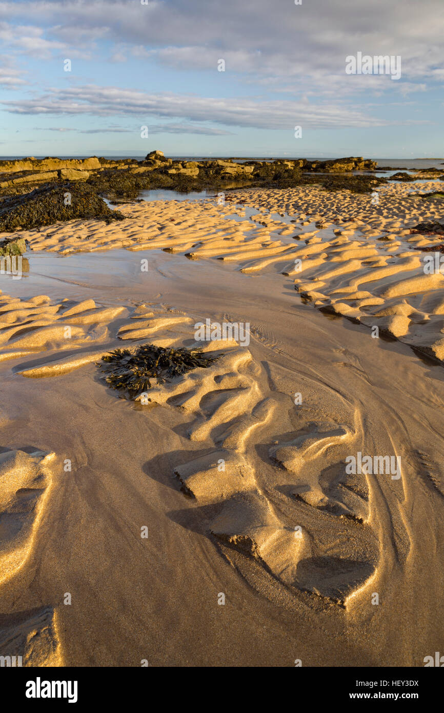Sand patterns caused by the ebbing tide are lit by the sunset at Kingsbarn beach, Scotland Stock Photo