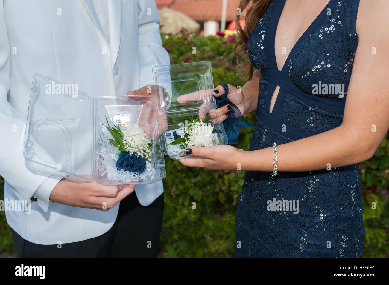 Prom dates exchanging flower corsages. Stock Photo