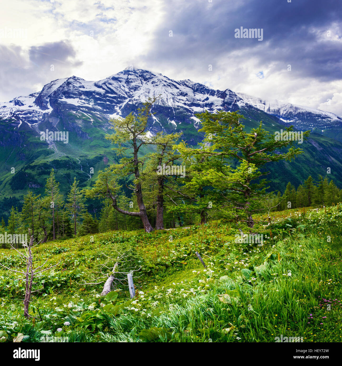 Swiss alps mountain view hi-res stock photography and images - Alamy
