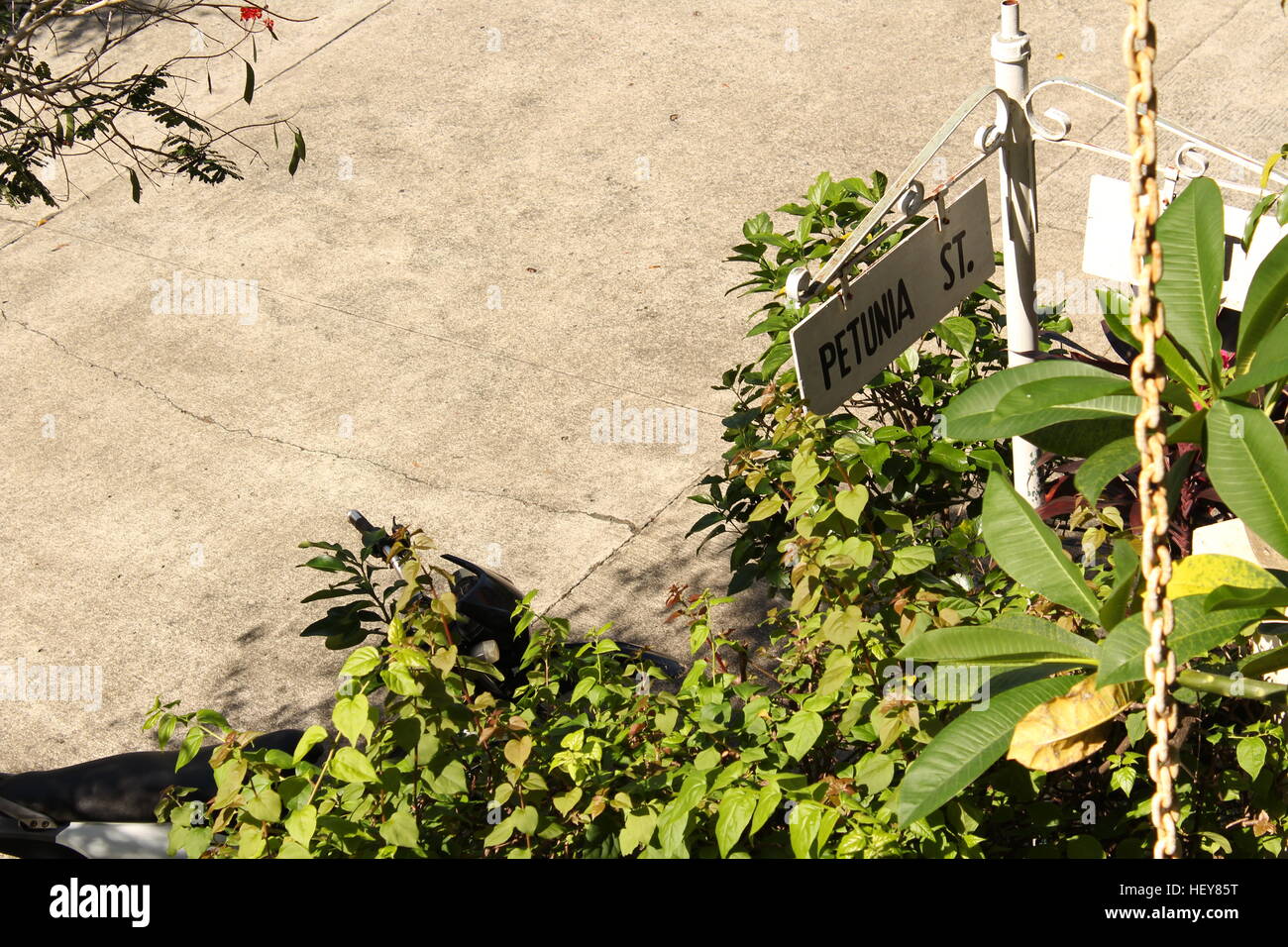 A street sign with plants Stock Photo - Alamy