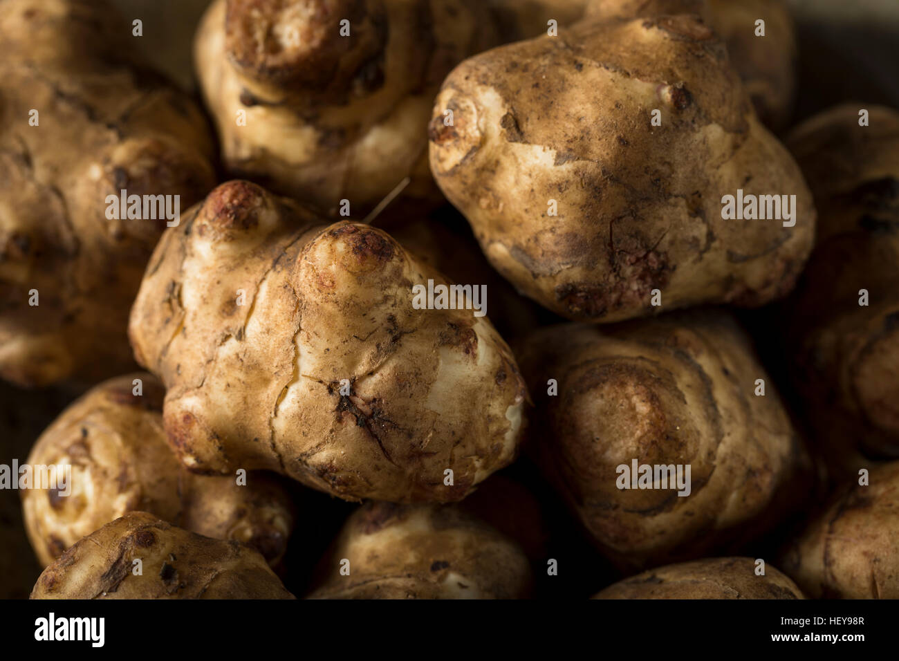 Jerusalem artichoke sunchokes hires stock photography and images Alamy