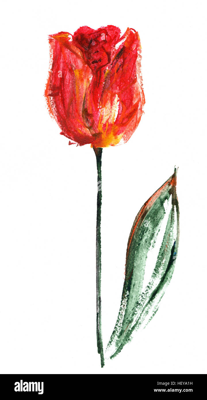 Tulip painted hands Stock Photo Alamy