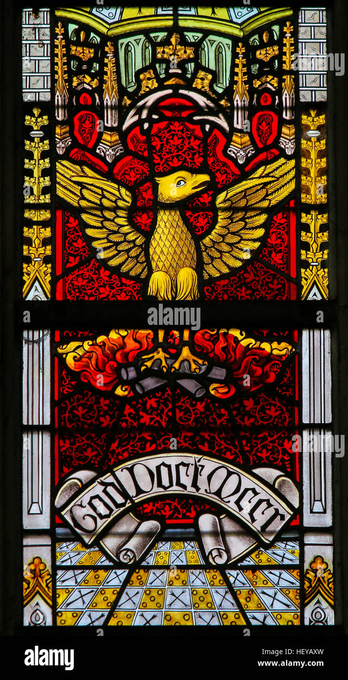 Stained Glass window depicting a Phoenix rising from the Ashes, with the Words God Doet Meer or God does more, in the Cathedral of Saint Bavo in Ghent Stock Photo