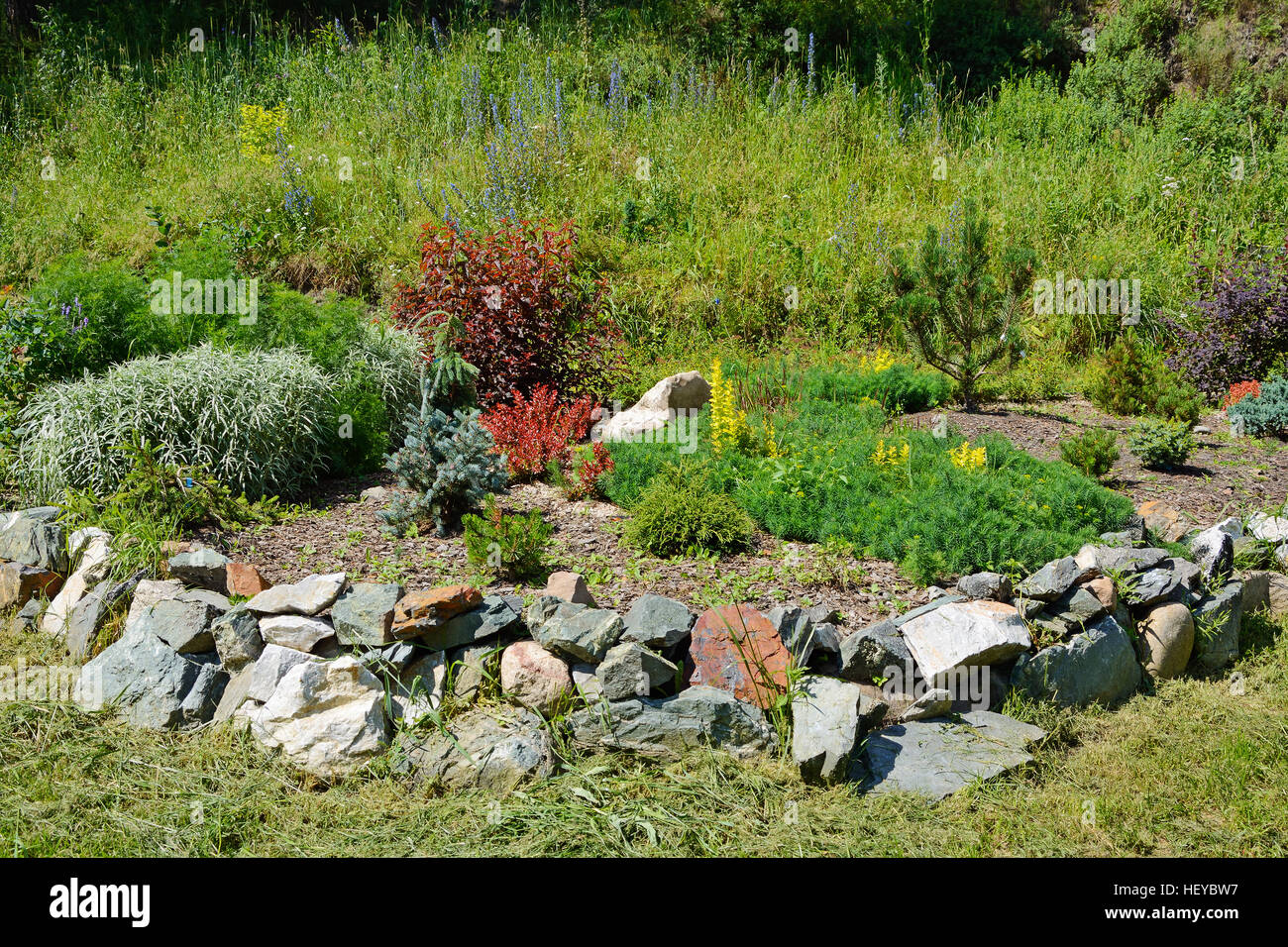 Plants on the Alpine hill in a lush summer garden Stock Photo