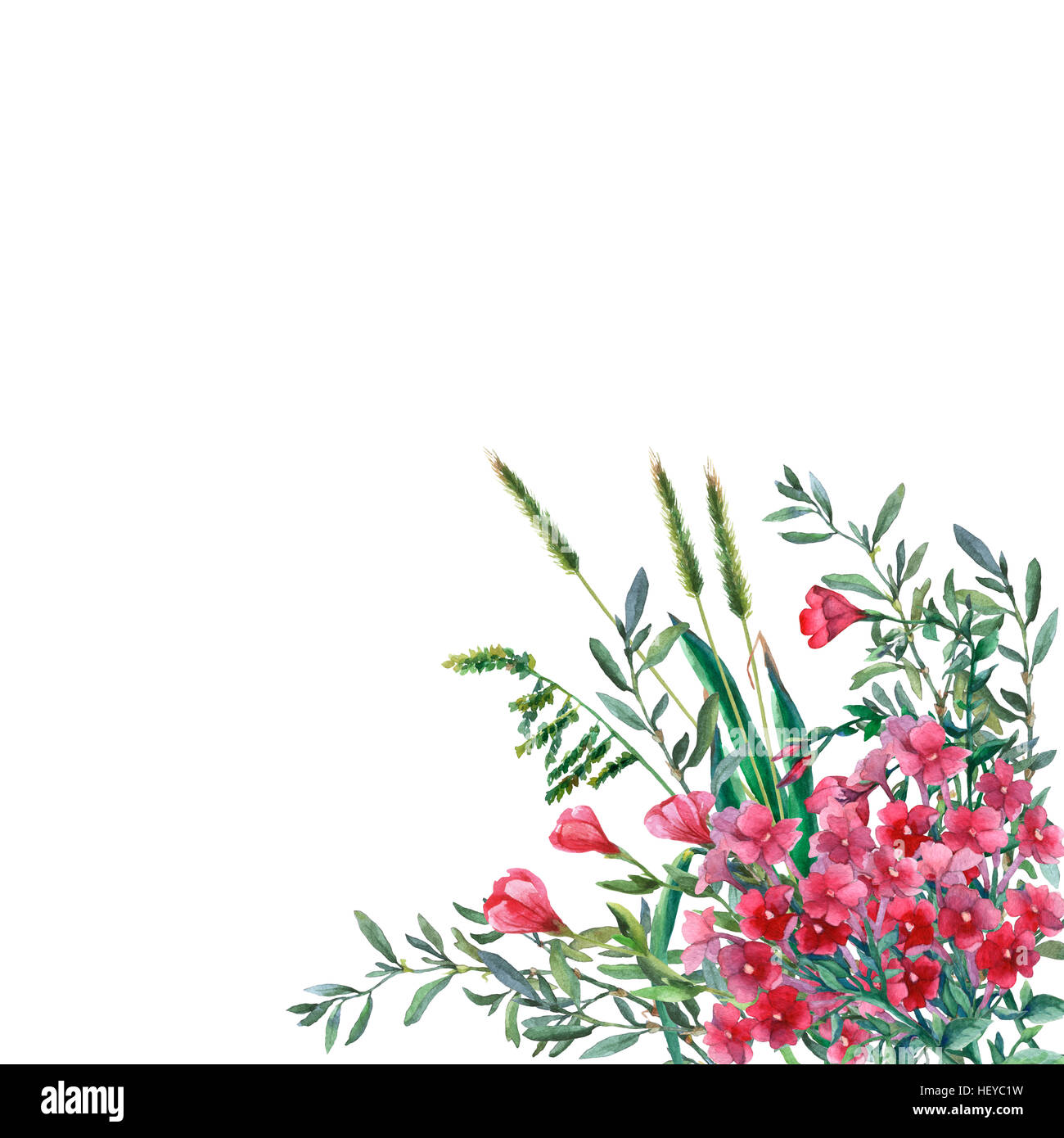 Colorful spring flowers and grass on a meadow. Watercolor hand painting illustration on isolate white background. Stock Photo