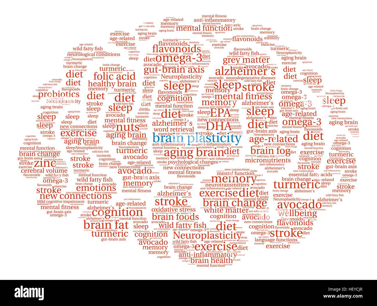 Brain Plasticity Brain word cloud on a white background. Stock Vector